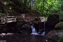 Bernhard Saalfeld - Ehrbachklamm